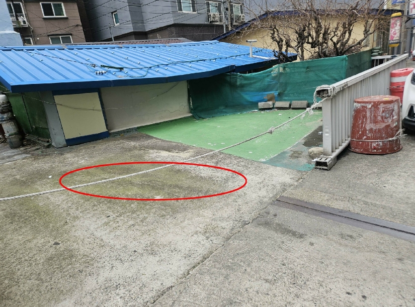 사진 02