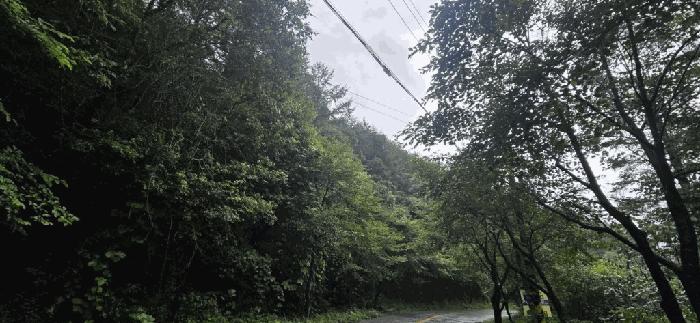 사진 04