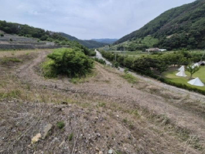 사진 06