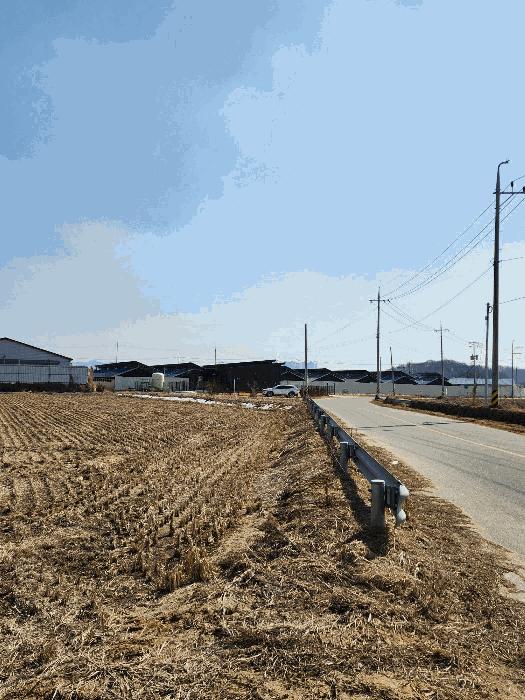 사진 03