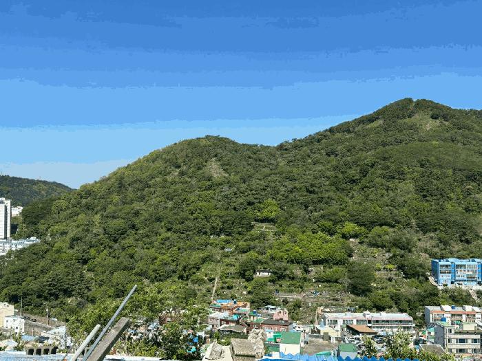 사진 08