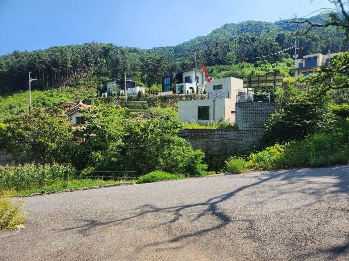 사진 06