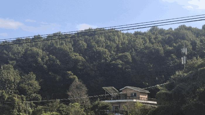 사진 03