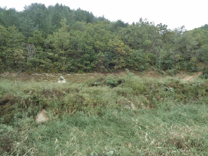 사진 02