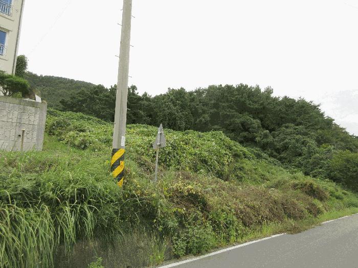사진 04