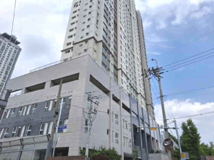 사진 03