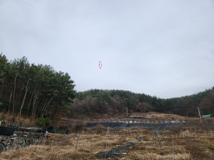 사진 03