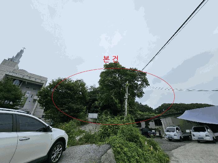 사진 07