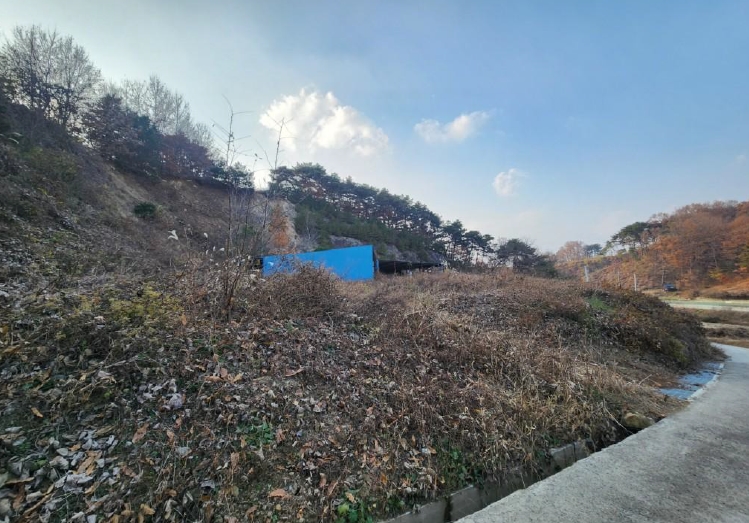 사진 02