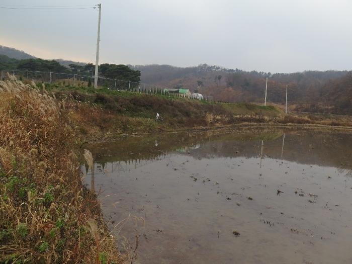 사진 02