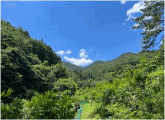 사진 01