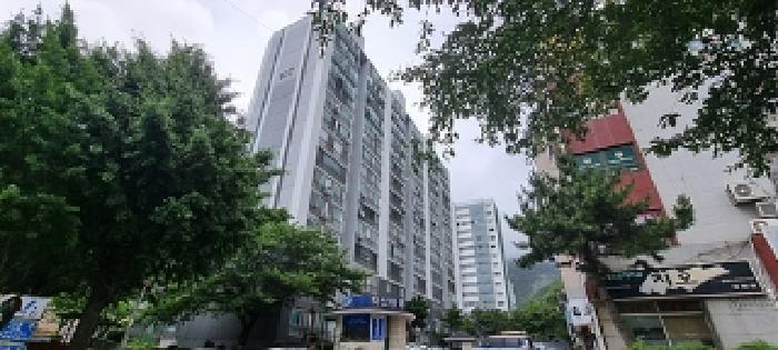 사진 05