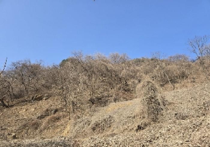 사진 02
