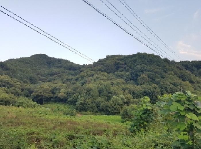 사진 03