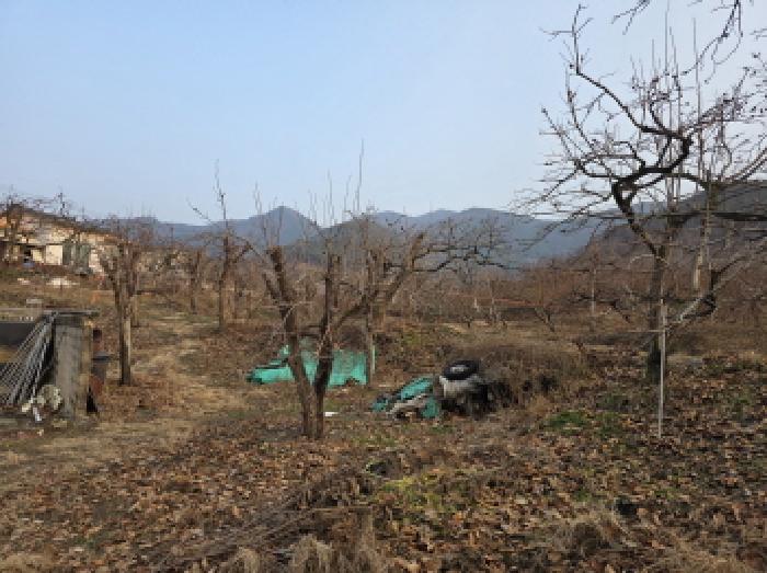 사진 07