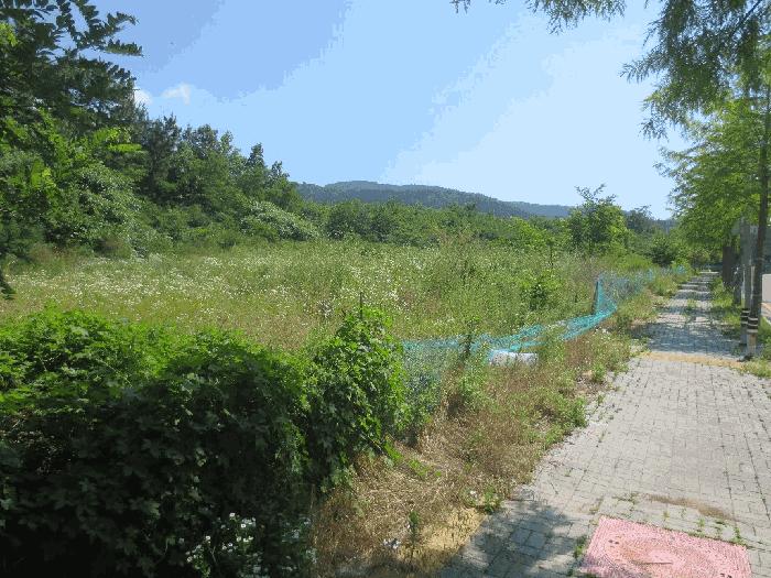 사진 07