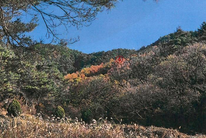 사진 07