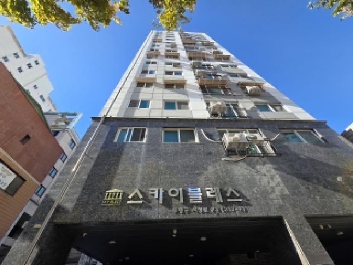 사진 03