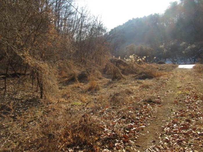 사진 08