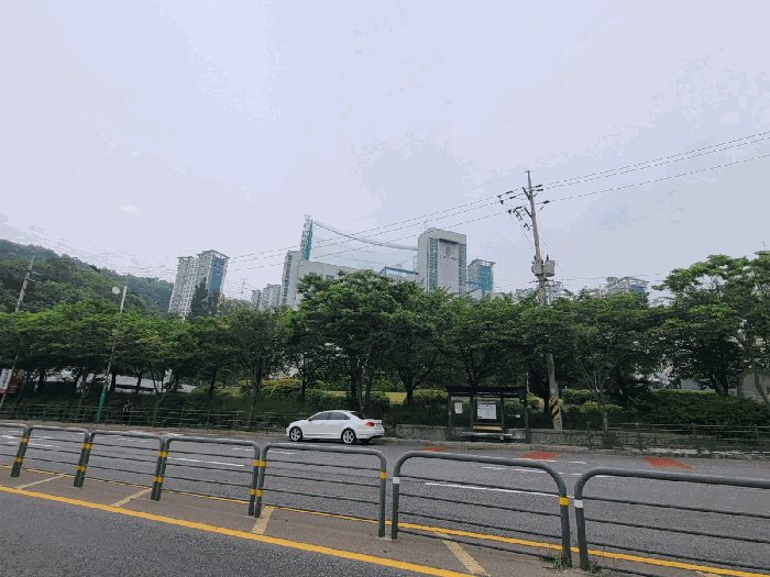 사진 08