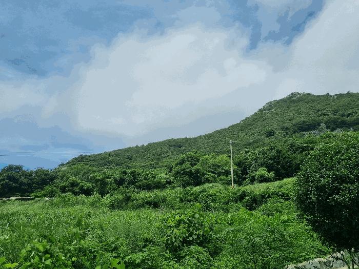 사진 04