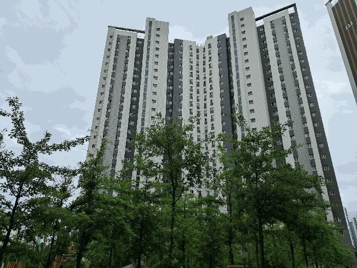 사진 06