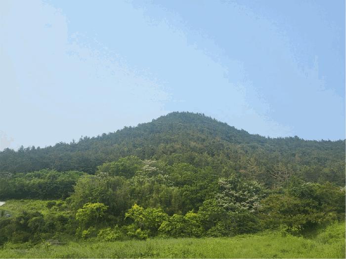 사진 03