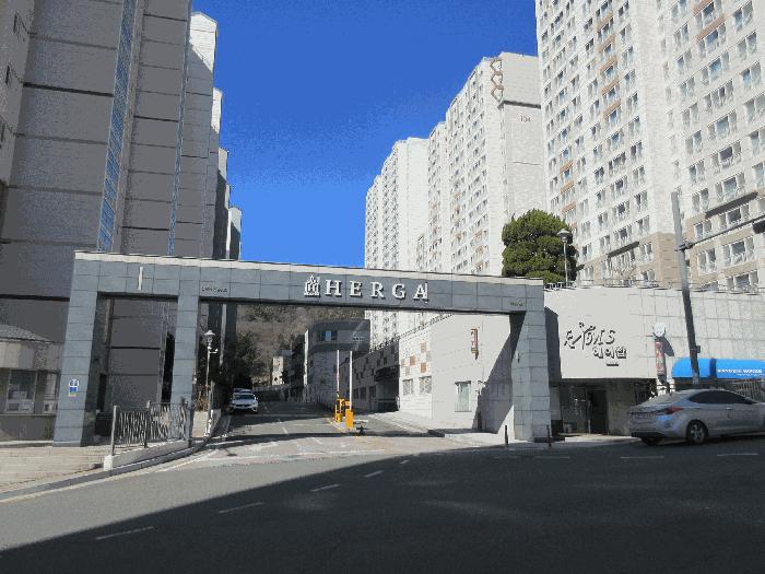 사진 01