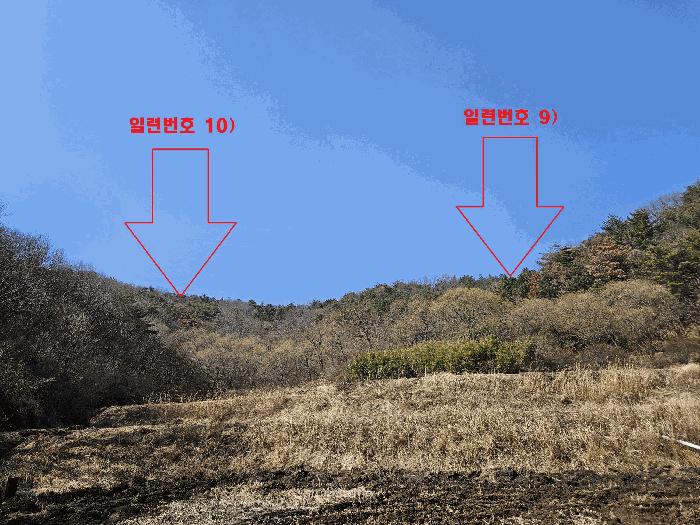 사진 04