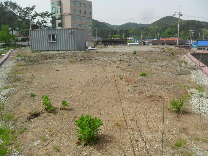 사진 03