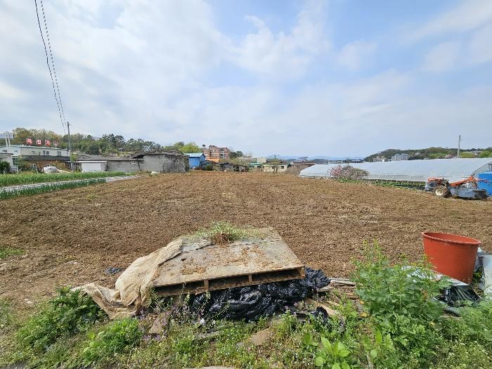 사진 06