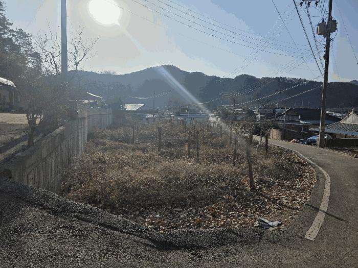 사진 01