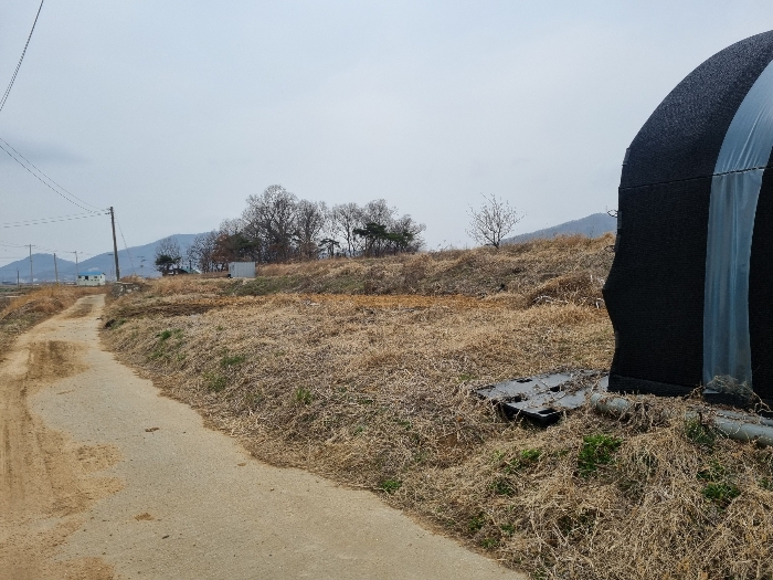 사진 04