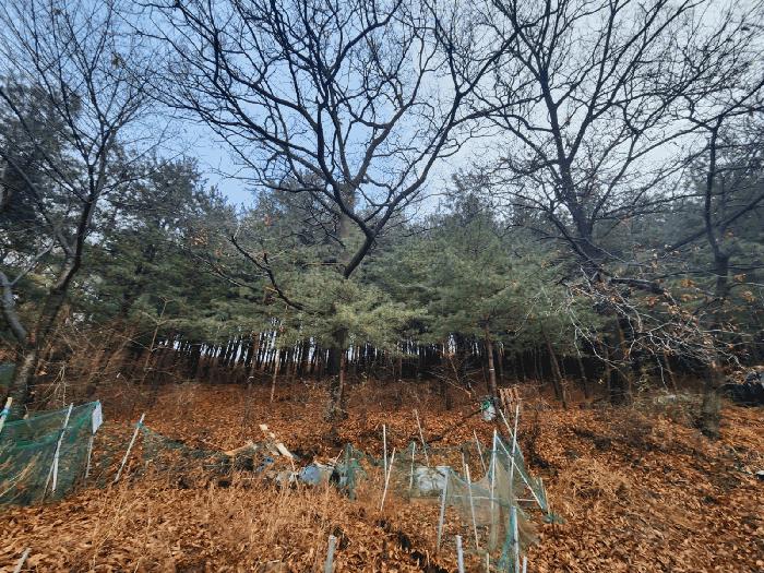 사진 05