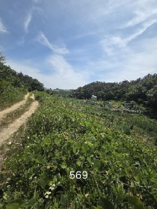 사진 06