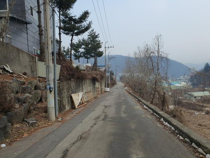 사진 03