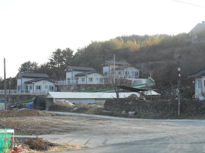 사진 07