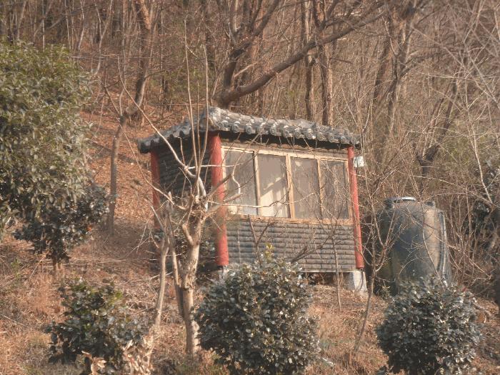 사진 07