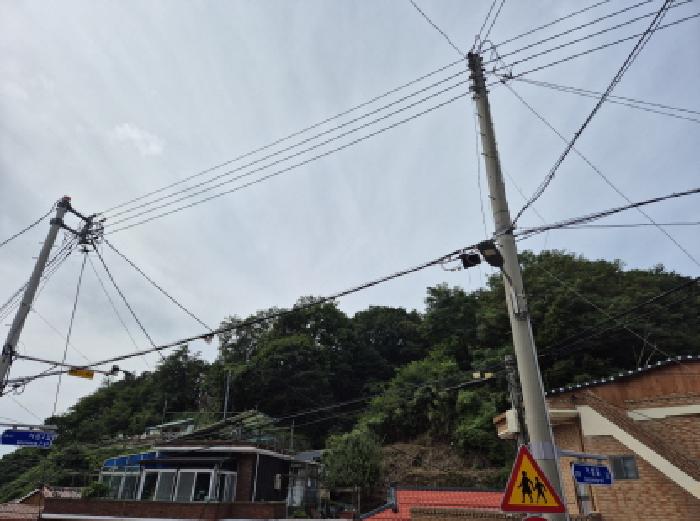 사진 03