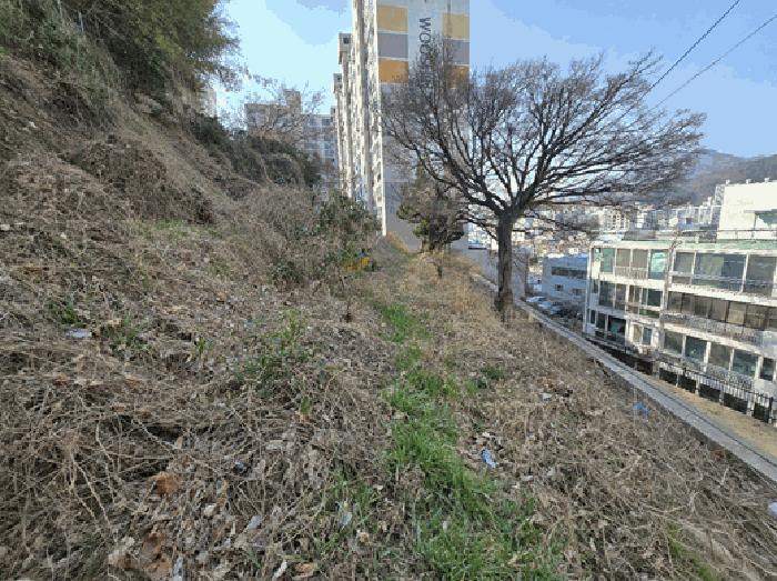 사진 06