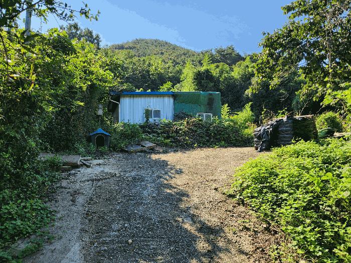 사진 04