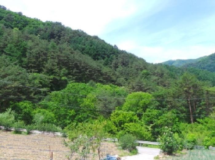 사진 04