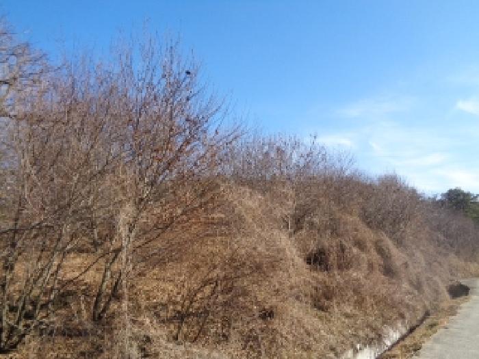 사진 05