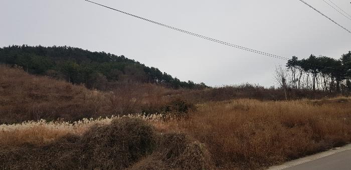 사진 03