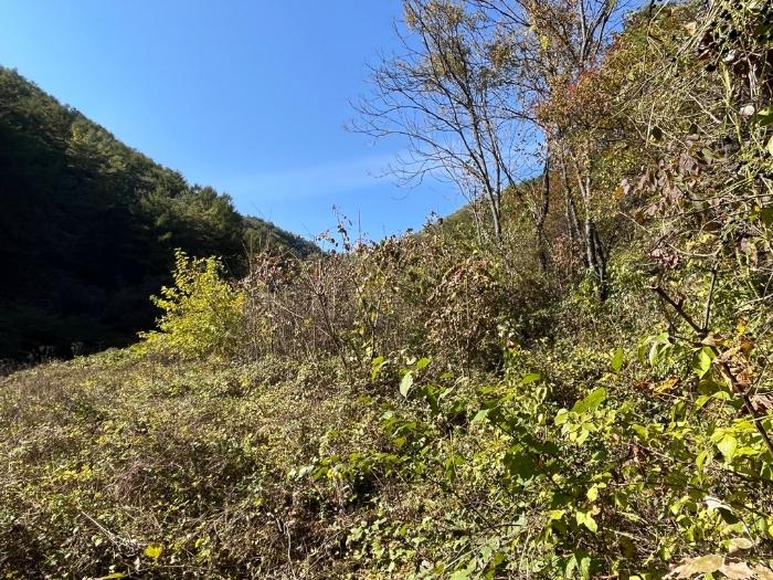 사진 02