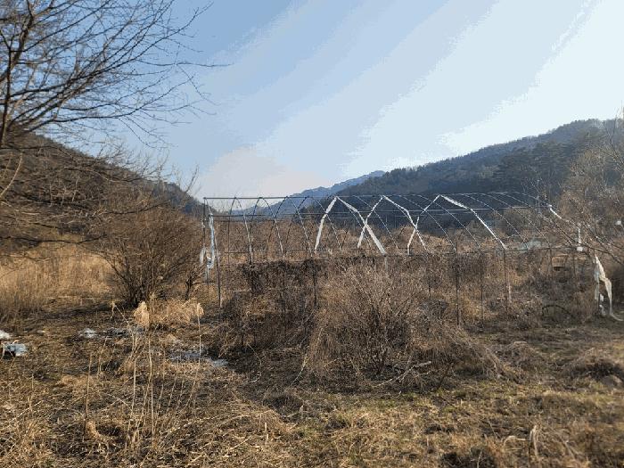 사진 04
