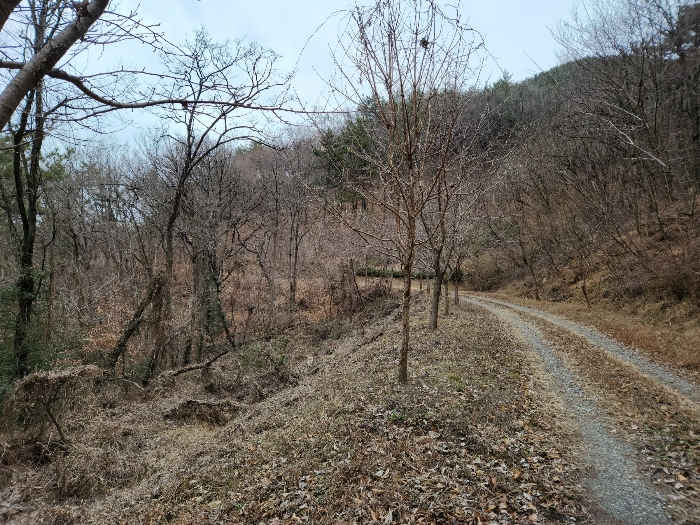 사진 06