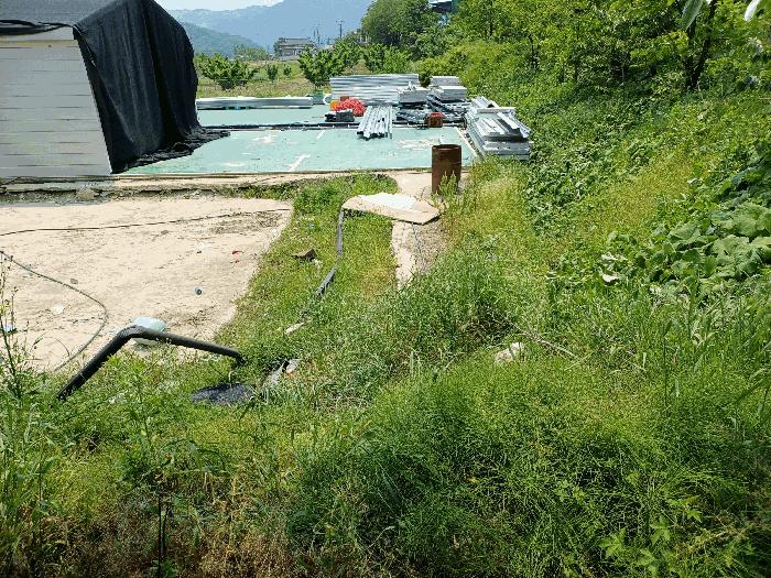 사진 06
