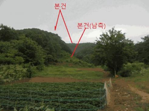 사진 01
