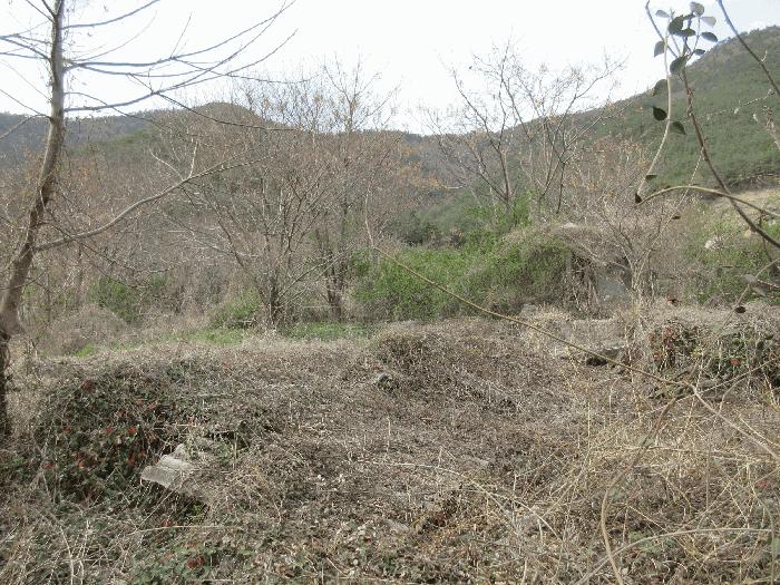사진 07